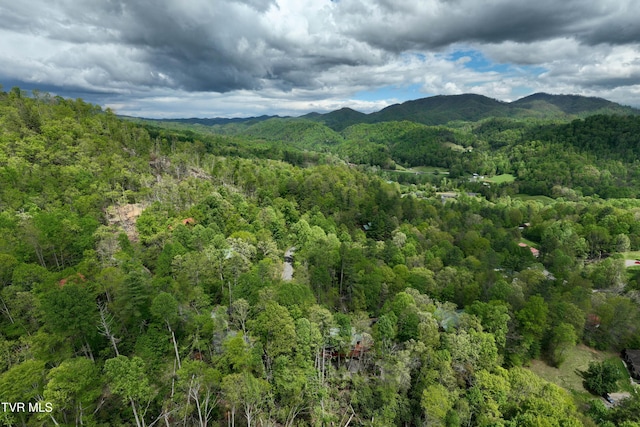 mountain view with a view of trees