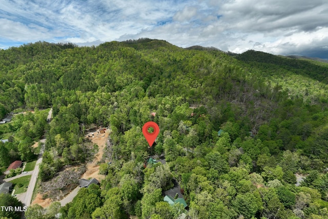 bird's eye view featuring a mountain view and a forest view