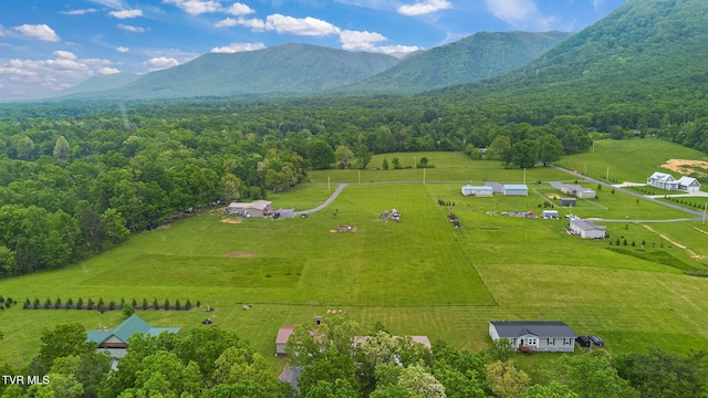 100 Colyer Rd, Greeneville, TN 37743 - overview of rural landscape featuring a mountainous background