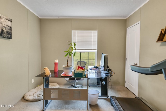 100 Colyer Rd, Greeneville, TN 37743 - carpeted dining space with an office area