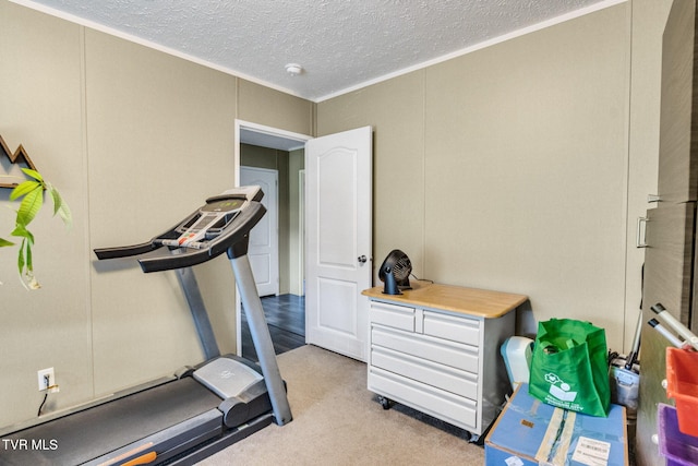100 Colyer Rd, Greeneville, TN 37743 - workout area featuring light colored carpet, ornamental molding, and a textured ceiling