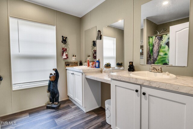 100 Colyer Rd, Greeneville, TN 37743 - full bath featuring wood finished floors, a shower with shower curtain, and vanity