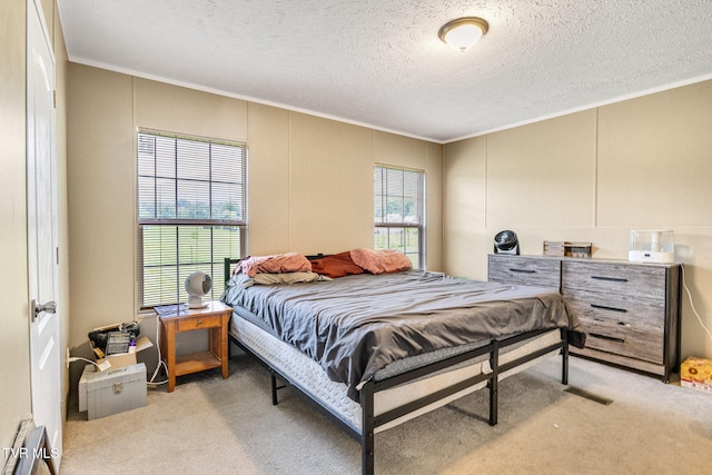 100 Colyer Rd, Greeneville, TN 37743 - bedroom featuring crown molding, carpet flooring, and a textured ceiling