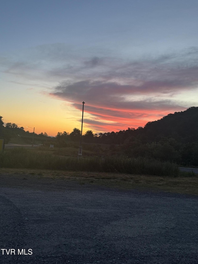 100 Colyer Rd, Greeneville, TN 37743 - view of mountain backdrop
