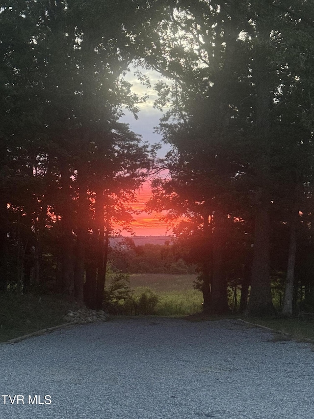 100 Colyer Rd, Greeneville, TN 37743 - view of nature at dusk