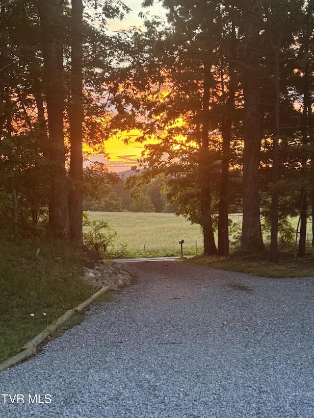 100 Colyer Rd, Greeneville, TN 37743 - view of property's community featuring driveway