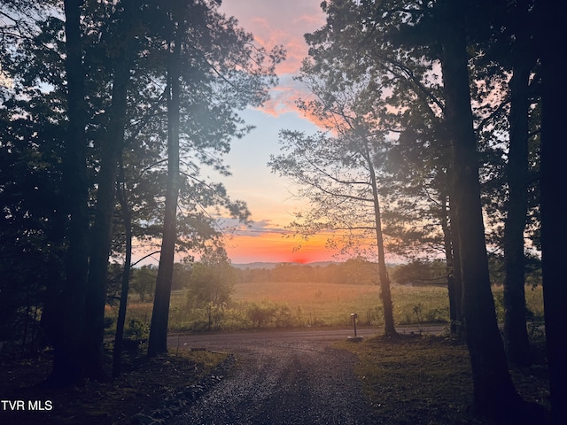 100 Colyer Rd, Greeneville, TN 37743 - view of nature at dusk