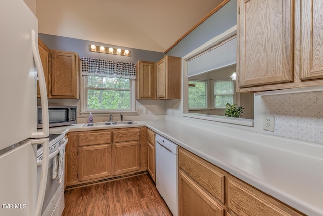 kitchen with light countertops, dark wood finished floors, a sink, and white appliances