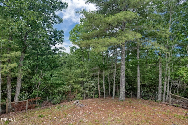 view of yard featuring a forest view