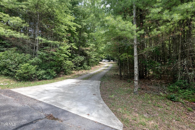 view of street with a forest view