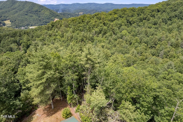 view of mountain feature with a wooded view