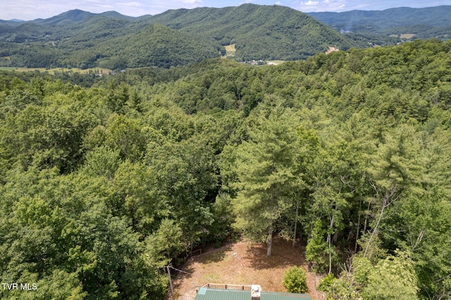 view of mountain feature with a wooded view