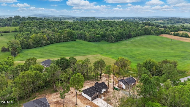 173 Paynetown Rd, Telford, TN 37690 - birds eye view of property