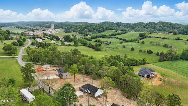 173 Paynetown Rd, Telford, TN 37690 - birds eye view of property featuring a rural view