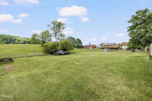 216 Sunbury Ct, Kingsport, TN 37664 - view of grassy yard