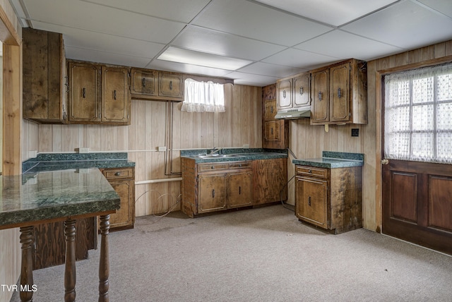 kitchen featuring under cabinet range hood, wooden walls, brown cabinetry, light carpet, and a sink
