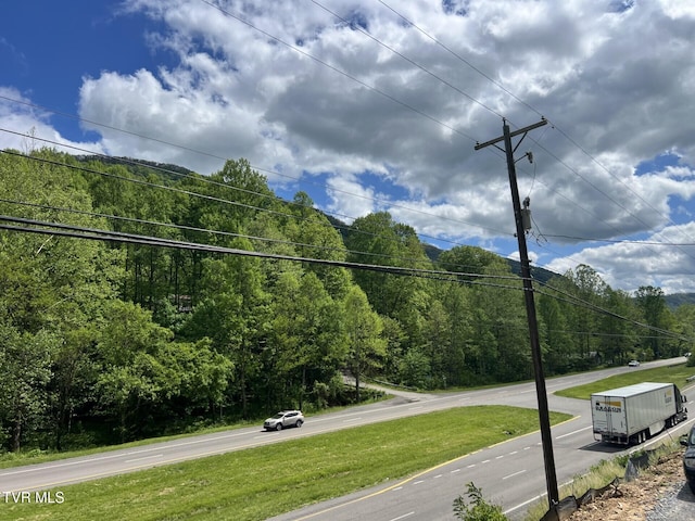 28529 US Highway 23, Big Stone Gap, VA 24219 - view of road featuring a forest view