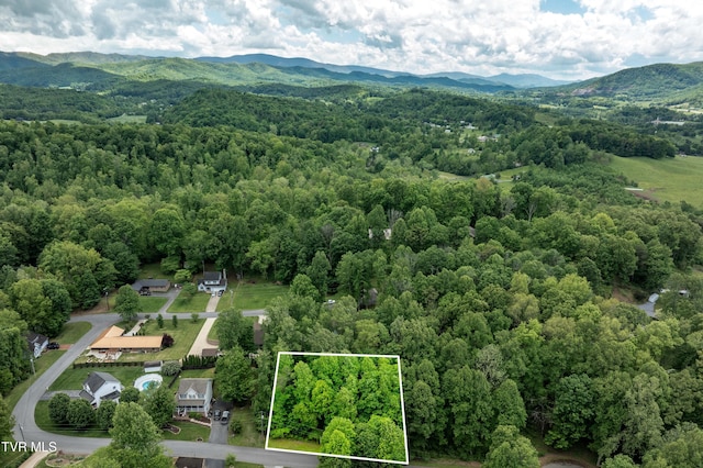 TBD Victor Dr, Johnson City, TN 37604 - photo 3