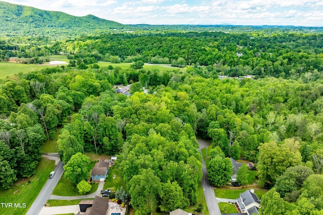 TBD Victor Dr, Johnson City, TN 37604 - photo 12