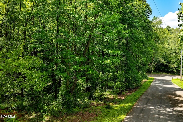 TBD Victor Dr, Johnson City, TN 37604 - photo 14