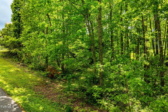 TBD Victor Dr, Johnson City, TN 37604 - photo 15