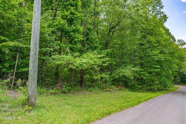 TBD Victor Dr, Johnson City, TN 37604 - photo 16