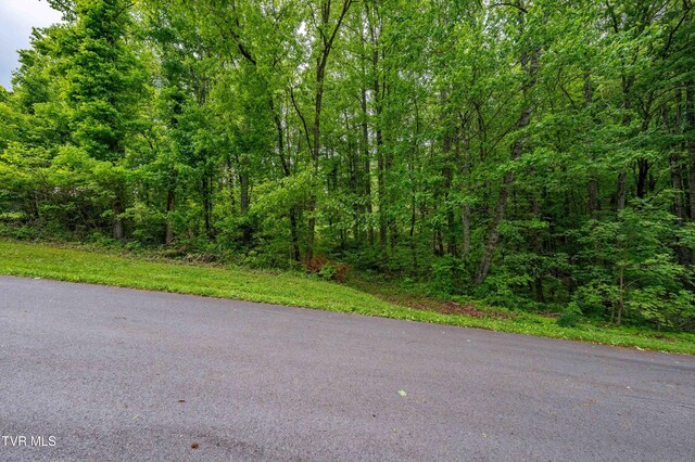 TBD Victor Dr, Johnson City, TN 37604 - photo 17