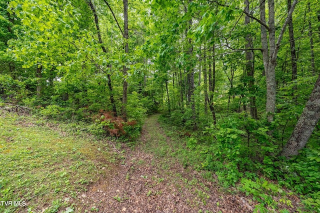 TBD Victor Dr, Johnson City, TN 37604 - photo 18