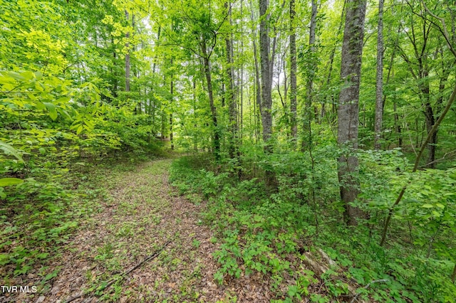 TBD Victor Dr, Johnson City, TN 37604 - photo 19
