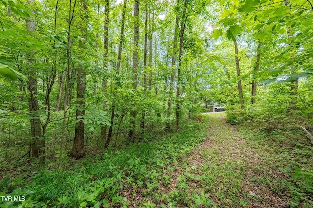 TBD Victor Dr, Johnson City, TN 37604 - photo 20