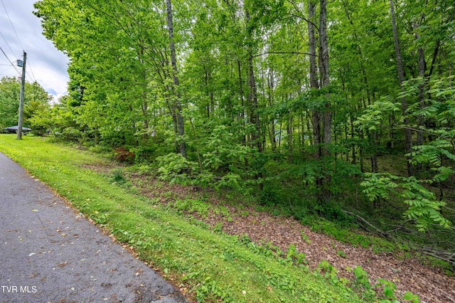 TBD Victor Dr, Johnson City, TN 37604 - photo 21