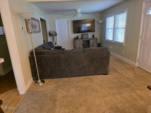 214 Elliott, Erwin, TN 37650 - living area featuring a ceiling fan and baseboards