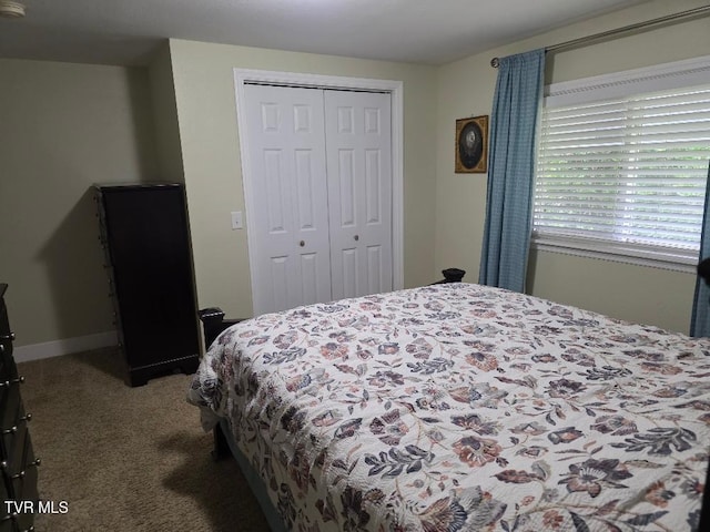214 Elliott, Erwin, TN 37650 - bedroom featuring carpet flooring, a closet, and baseboards