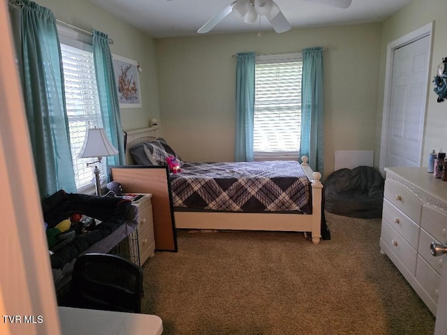 214 Elliott, Erwin, TN 37650 - bedroom with carpet and a ceiling fan