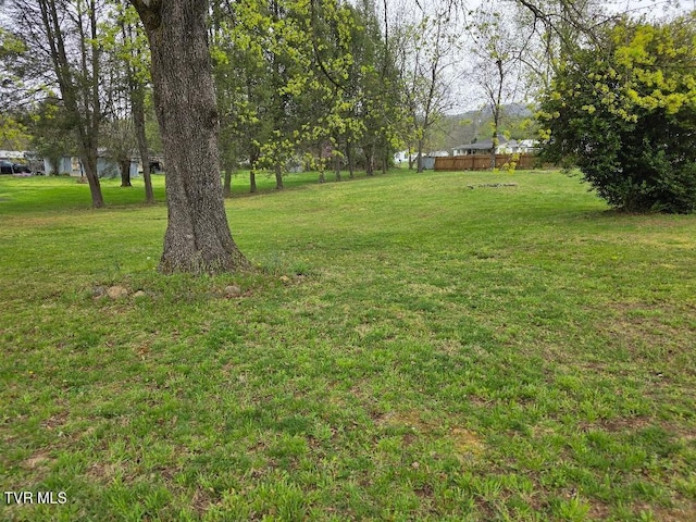 214 Elliott, Erwin, TN 37650 - view of green lawn