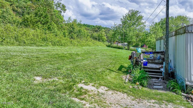 215 Fox Rd, Chuckey, TN 37641 - photo 4
