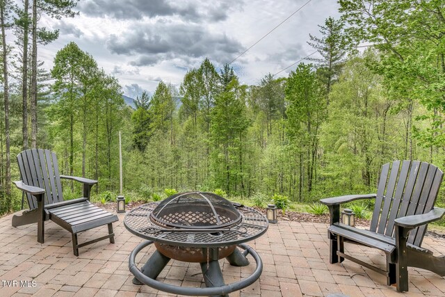 584 Dotson Rd, Trade, TN 37691 - photo 22