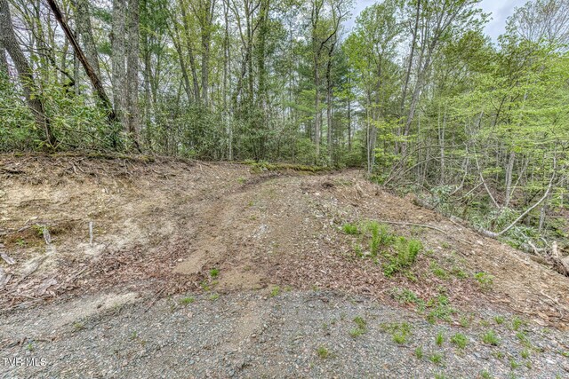 584 Dotson Rd, Trade, TN 37691 - photo 39