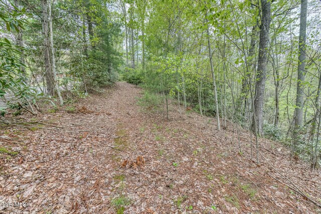584 Dotson Rd, Trade, TN 37691 - photo 40