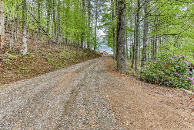 584 Dotson Rd, Trade, TN 37691 - photo 42