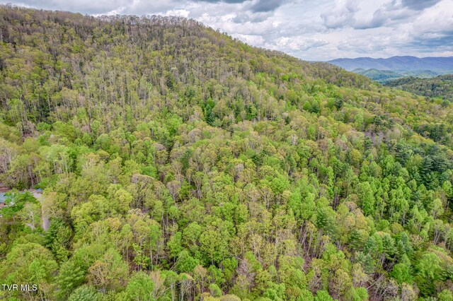 584 Dotson Rd, Trade, TN 37691 - photo 46