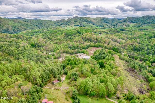 584 Dotson Rd, Trade, TN 37691 - photo 3