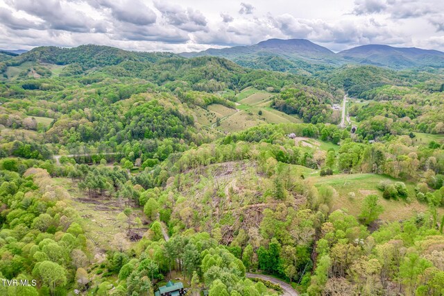 584 Dotson Rd, Trade, TN 37691 - photo 47