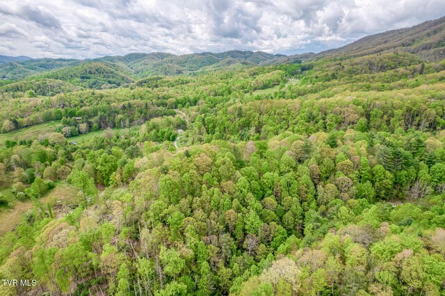 584 Dotson Rd, Trade, TN 37691 - photo 48