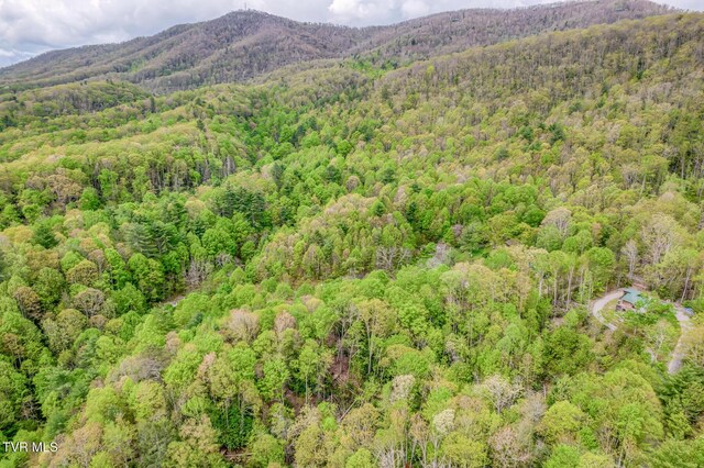 584 Dotson Rd, Trade, TN 37691 - photo 49