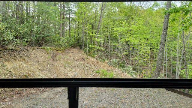 584 Dotson Rd, Trade, TN 37691 - photo 19