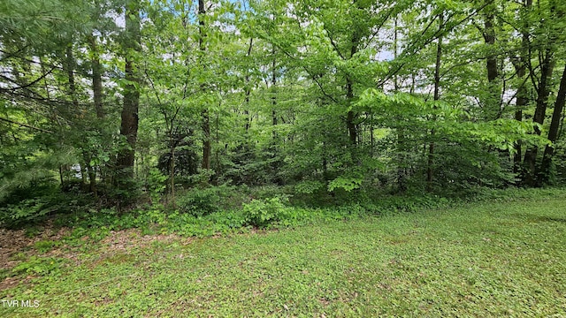 824 W Buckner Ave, Big Stone Gap, VA 24219 - view of wooded area