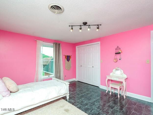 26354 Pewter Ln, Abingdon, VA 24211 - bedroom with a closet, baseboards, and a textured ceiling