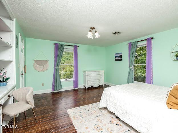 26354 Pewter Ln, Abingdon, VA 24211 - bedroom featuring wood finished floors, multiple windows, a chandelier, baseboards, and a textured ceiling