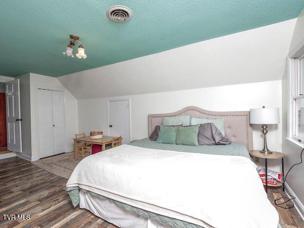 26354 Pewter Ln, Abingdon, VA 24211 - bedroom with wood finished floors, lofted ceiling, a closet, baseboards, and a textured ceiling